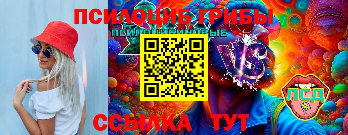 Галлюциногенные грибы прущие грибы  Вход с VPN  Нижний Тагил 